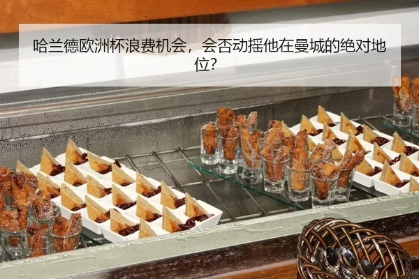 ha-lan-de-ou-zhou-bei-lang-fei-ji-hui-hui-fou-dong-yao-ta-zai-man-cheng-de-jue-dui-di-wei-3-690.jpg